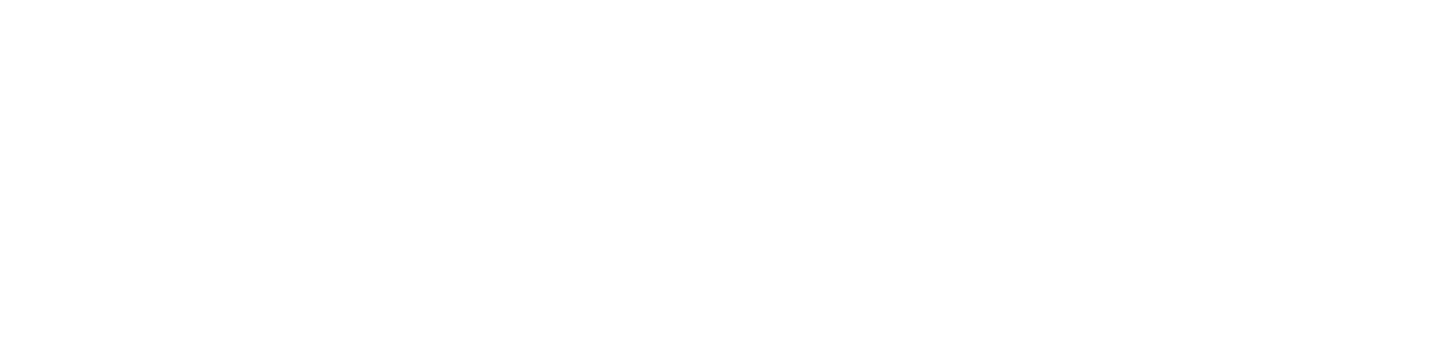 Наш проект получил поддержку 
на самом высоком уровне logo 2